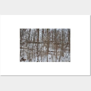 Escarpment snow fall Posters and Art